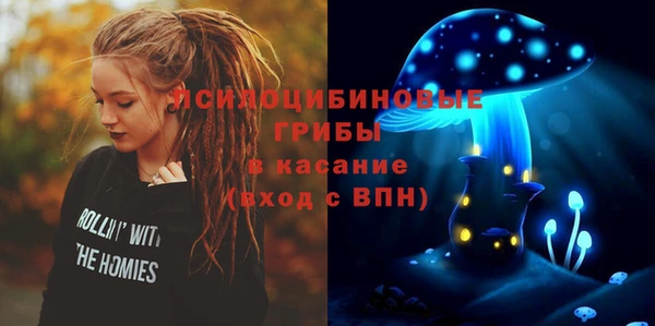 ECSTASY Абаза