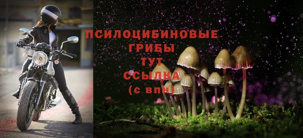 ECSTASY Абаза