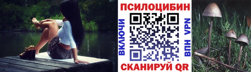 Галлюциногенные грибы Psilocybe  хочу наркоту  Усолье 